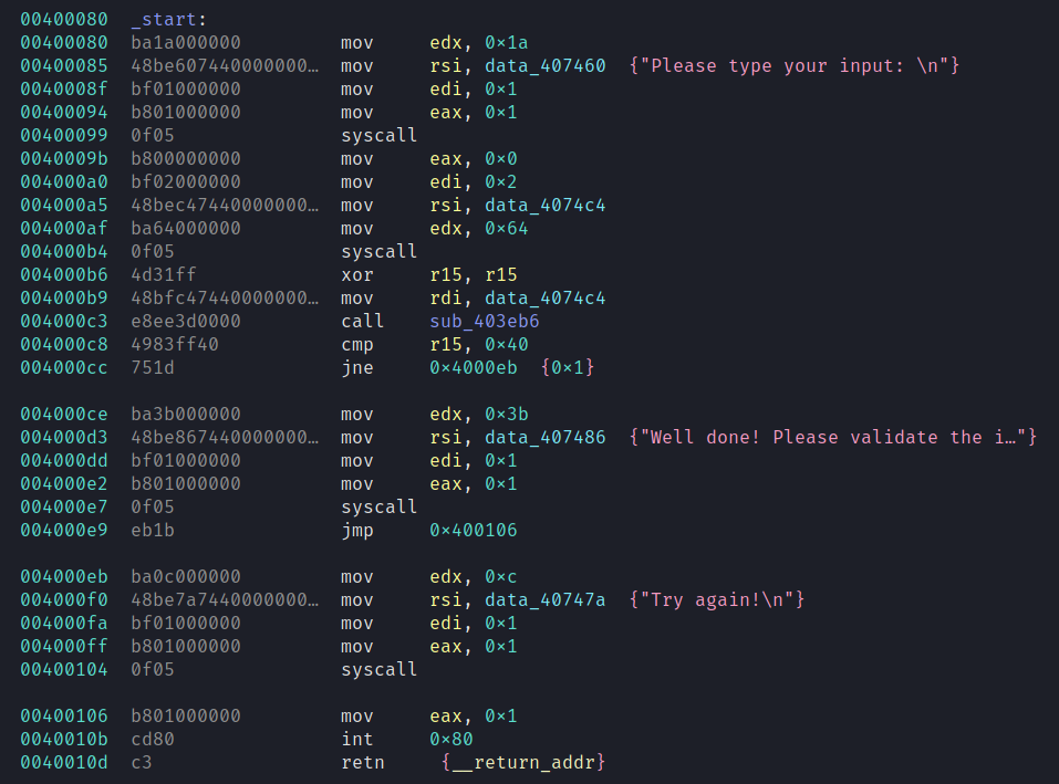 disassembled _start function